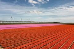 Voorjaarsrit-april-2026_74