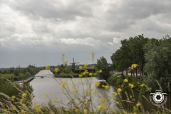 Zomerrit-2024-46-Middel