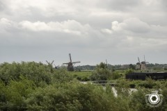 Zomerrit-2024-47-Middel