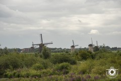 Zomerrit-2024-48-Middel