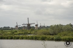 Zomerrit-2024-49-Middel