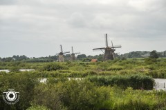 Zomerrit-2024-50-Middel