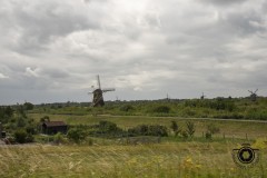 Zomerrit-2024-51-Middel