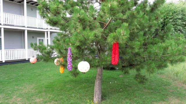 35jrHVVP (151) (Small).JPG